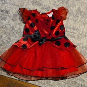Red and Black Ladybug Kids Costume